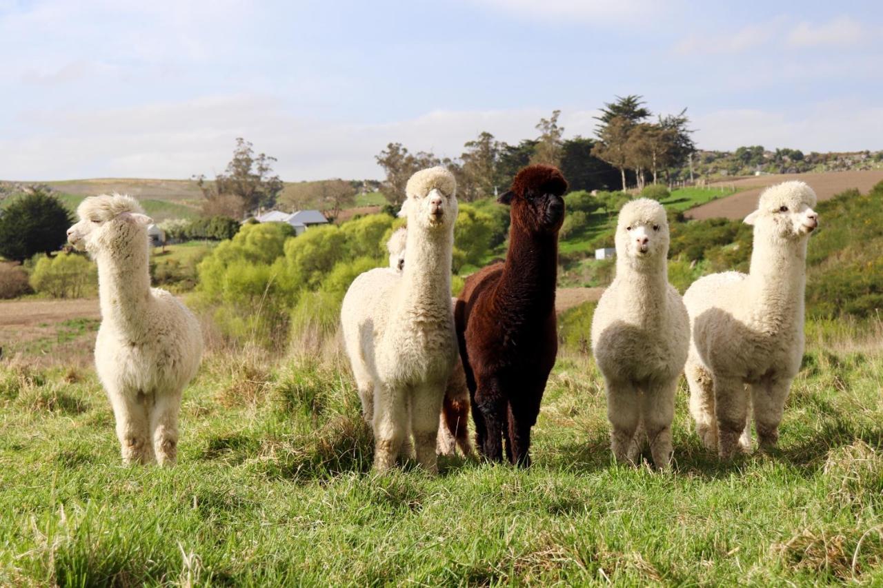 Teschemakers Resort Oamaru Kültér fotó